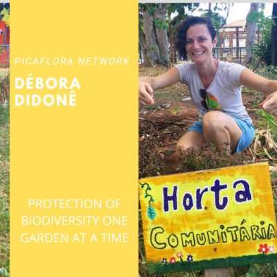 Read more about the article Debora Dedone – Pica Flora Network
