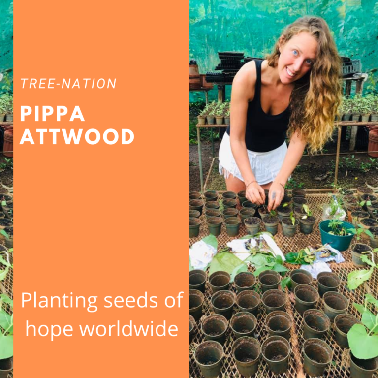 Read more about the article Pippa Attwood – Tree-nation