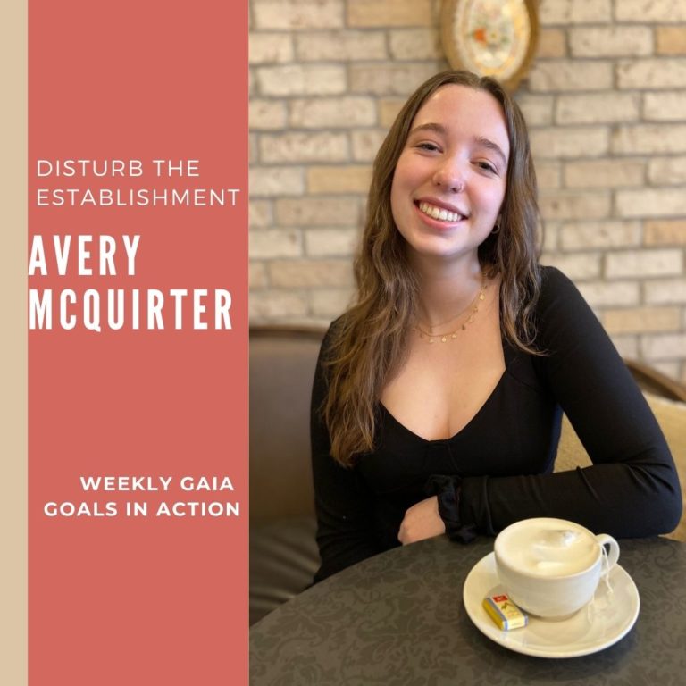 Avery McQuirter – Disturb The Establishment