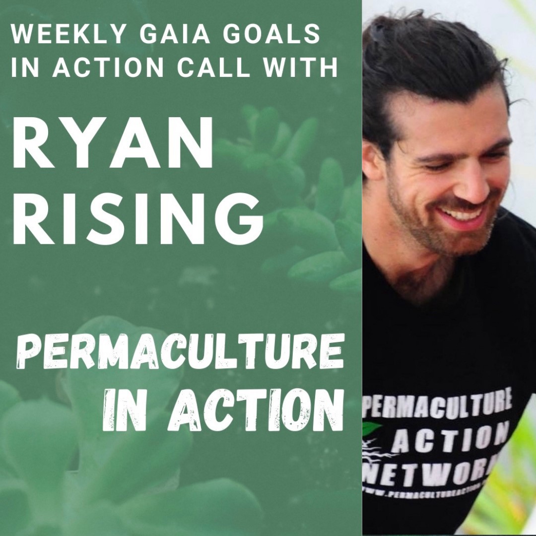 Read more about the article Sustainable Agriculture & social Permaculture – Ryan Rising