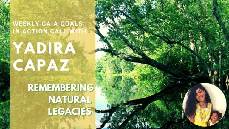 Swamp Therapy in the Everglades – Yadira Capaz