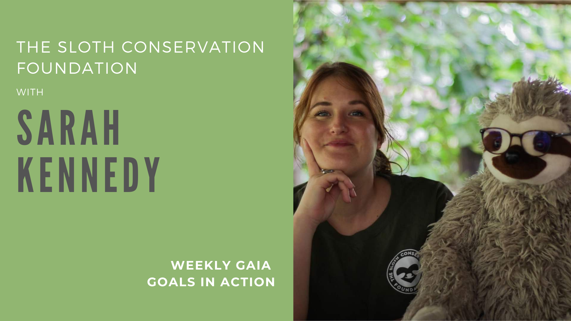 Read more about the article Sloth Conservation – Sarah Kennedy