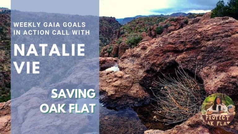 Saving Oak Flat – Natalie Vie